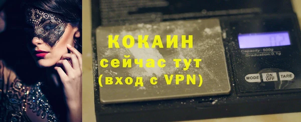 индика Белоозёрский