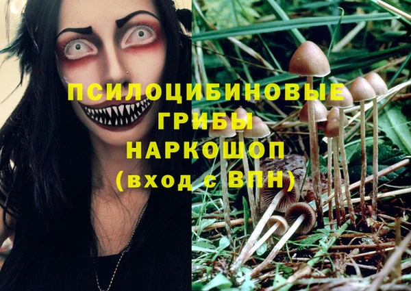 MDMA Приозерск