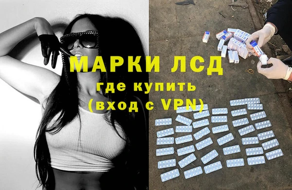 индика Белоозёрский